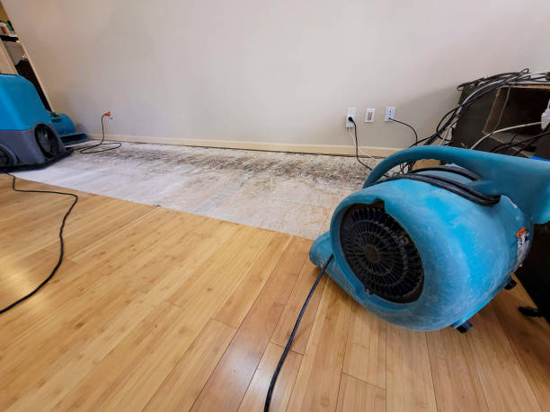 Professional Water Damage Repair technician working in Plymouth, IN
